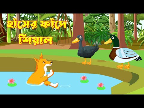 হাঁসের ফাঁদে শিয়াল | Fox in a Duck trap | Notun Bangla Golpo | Duck Cartoon | Fairy Tales