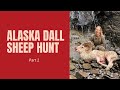Alaska Dall Sheep Hunt part 2 (short version)