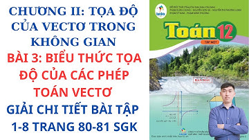 Toán 12 (Cánh Diều)_Bài 3: Biểu Thức Tọa Độ Của Các Phép Toán Vectơ_Giải Bài Tập 1-8 Trang 80-81 SGK