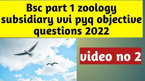 Bsc part 1 zoology subsidiary vvi pyq objective questions 2022 in one video lnmu syllabus covered