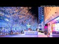 少年記・我田引水の部屋