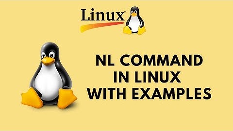 nl command in Linux with Examples