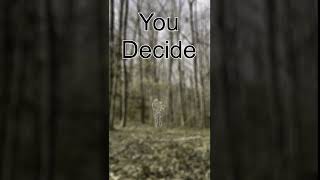 Kuiu Valo In Deer Vision On The Camo Matrix. What Is The Best Camo?