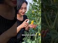 Amazing videos of letting loose