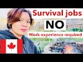 20 survival jobs in Canada/reality
