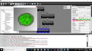 Data Set Walnut - Screen Capture (701075)