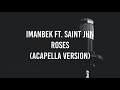 Imanbek Ft SAINt JHN Roses Acapella 
