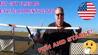 Celebrity E-FLITE APPRENTICE STS- SUPER STABLE AND FUN by Fat Guy Flies RC Net Worth