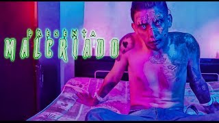 TM Zaiko - Malcriado [Video Oficial] Kreaturity Dryan