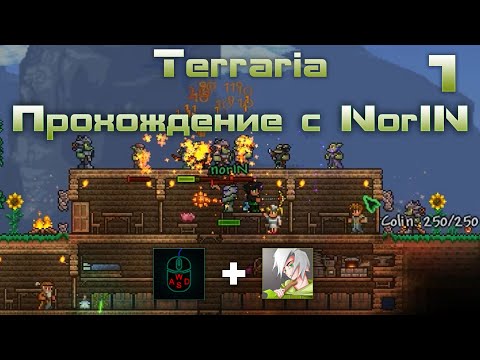 Видео: Прохождение Terraria с Nor1N #1 / Начало