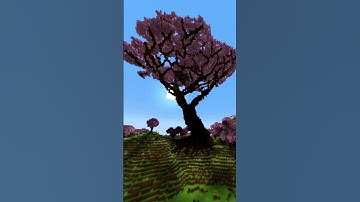 Minecraft Cherry Blossom Tree time lapse :)