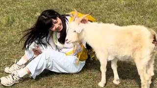 She Said Goodbye to a Little Lamb... But The Little Lamb Chased After Her Crying