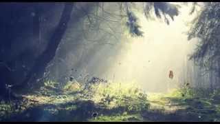 Wacoal Salute- Garden Of Eden