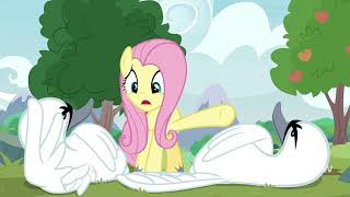 Fluttershy Training Her Animals For Coronation - My Little Pony: Friendship Is Forever (Memnagerie)