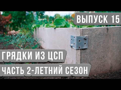 Грядки из цсп своими руками