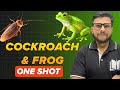 COCKROACH &amp; FROG BY SHOAIB SIR