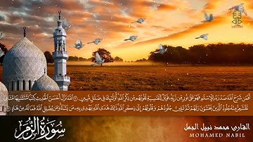 سورة الزمر | بصوت جميل جدا بصوت القارئ محمد نبيل | تلاوة عطرة