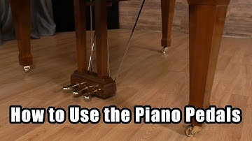 Piano Pedals Explained: 2 vs 3 Pedals & Their Functions