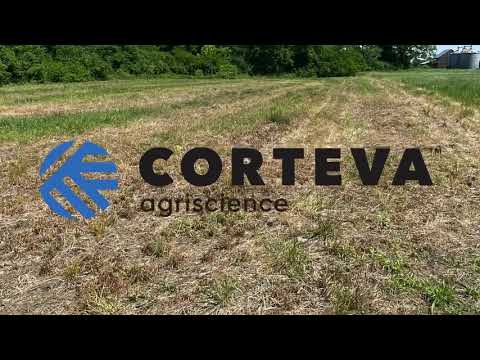 Mu Agriculture Student Interns With Bayer Crop Science Youtube