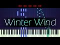 Etude Op. 25 No. 11, "Winter Wind" // CHOPIN