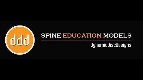 Dynamic Disc Designs | Spine Education Models