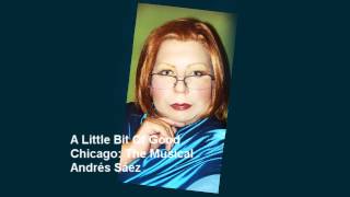 Watch Chicago The Musical A Little Bit Of Good video