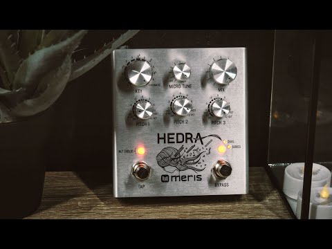 Meris Hedra 3-Voice Rhythmic Pitch-Shifter Demo - YouTube
