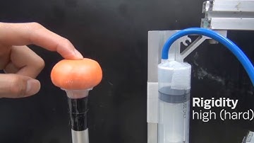 A Shape-changing Haptic Interface with programmable Rigidity and Size: Change of Rigidity