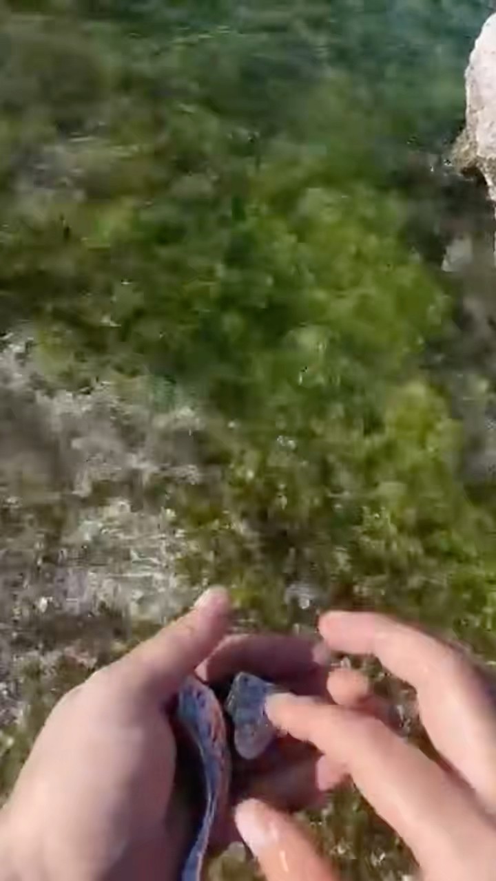 Bölgede Eşkıya Definesi Kaya Kasasından Çıkıyor !!
