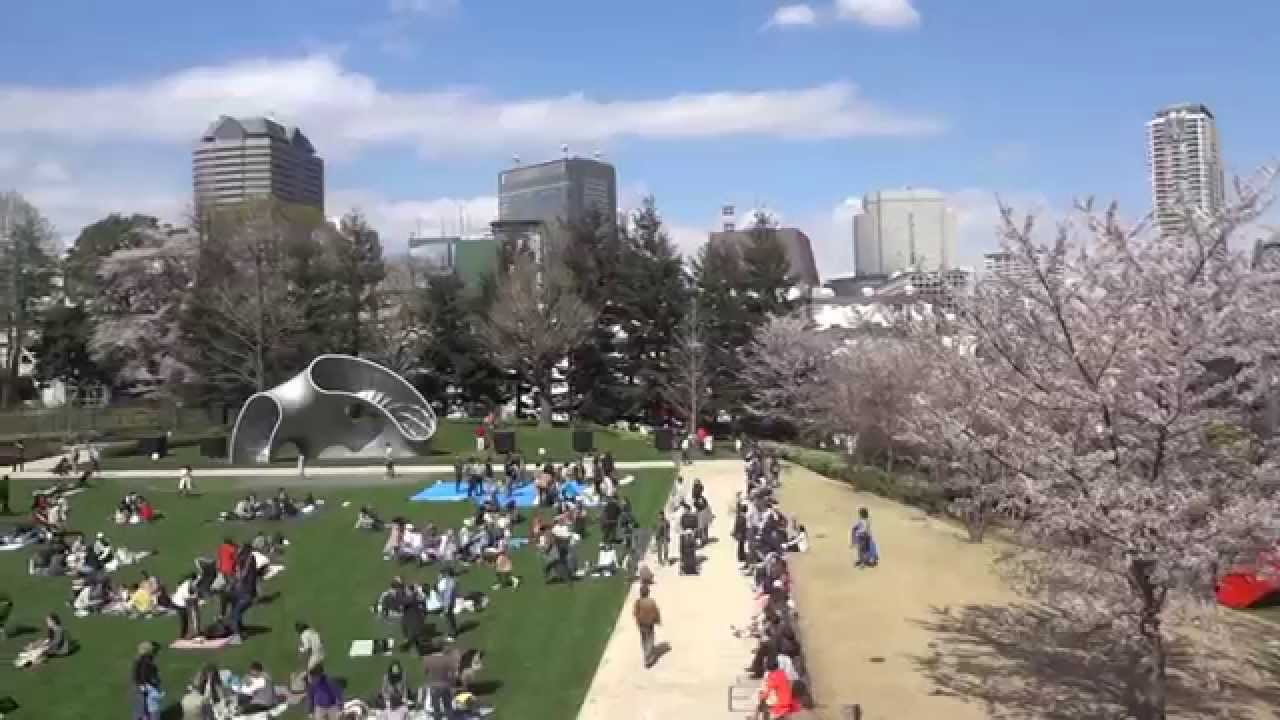 東京桜散歩 東京ミッドタウン 檜町公園 2014.4.5 Midtown YouTube