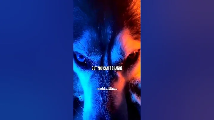 Sigma rule 😎🔥~ Attitude status 😈 | WhatsApp status | Attitude quotes #shorts #quotes #attitude