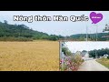 Nông thôn Hàn Quốc trong mắt người Việt Nam.