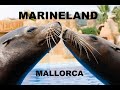 Marineland Mallorca - Sea Lion show | Majorca , Spain | April 2022