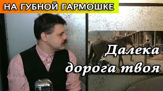 Vignette de la vidéo "Песня "Далека дорога твоя" на губной гармошке и гитаре"