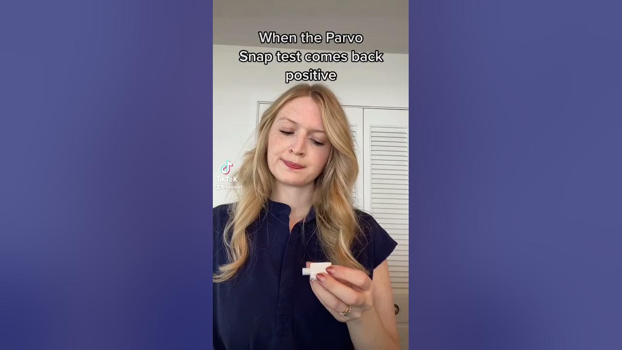 when-the-parvo-test-is-positive-youtube