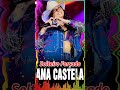 Solteiro Forçado - Ana Castela