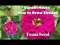 Garden Hacks | How to Grow Zinnias From Seed