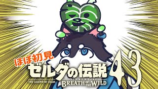 【はじめてのゼルダの伝説】＃43　犬が帰って来たぞコログぅ【BotW】