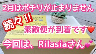 『多肉植物』『ガーデニング』184   2月にポチった素敵便が続々到着です‼️今回は、初購入のRilasiaさん❤️開封〜植え付けまで❤️自作のリメ鉢にお一人様で植えました❤️