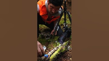Macro Photography Hacks: Cooling Highlights 📸💙