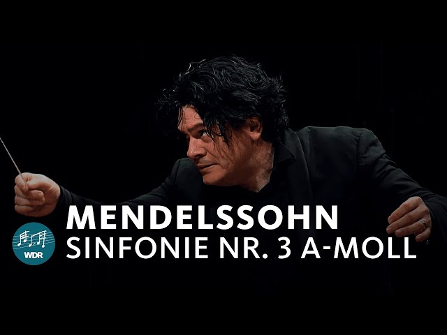 Mendelssohn - Symphonie pour cordes n°3 : Concerto Köln