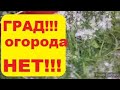 ШОК !! ГРАД В КРАСНОДАРЕ 15.06.2020 г.//САД ОГОРОД//НА ПМЖ в Пригород Краснодара