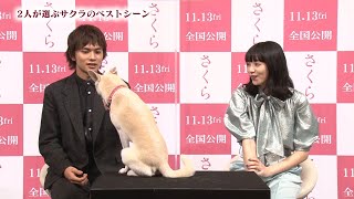 北村匠海＆⼩松菜奈、愛犬“サクラ”にメロメロ！？　映画『さくら』犬の日特別映像