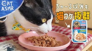 ASMR流石いなばお気に入りのウェットフードを食べる猫【咀嚼音】#138