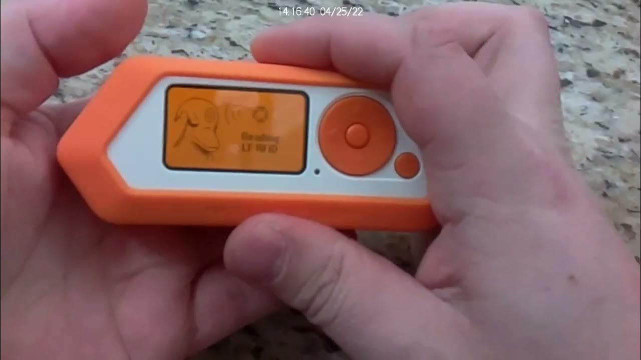 Flipper RFID Demo example YouTube