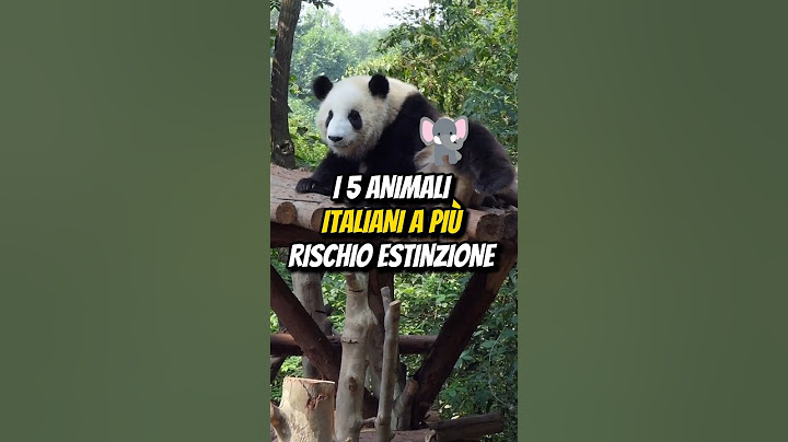 I 5 ANIMALI ITALIANI A PIÙ RISCHIO ESTINZIONE🐻