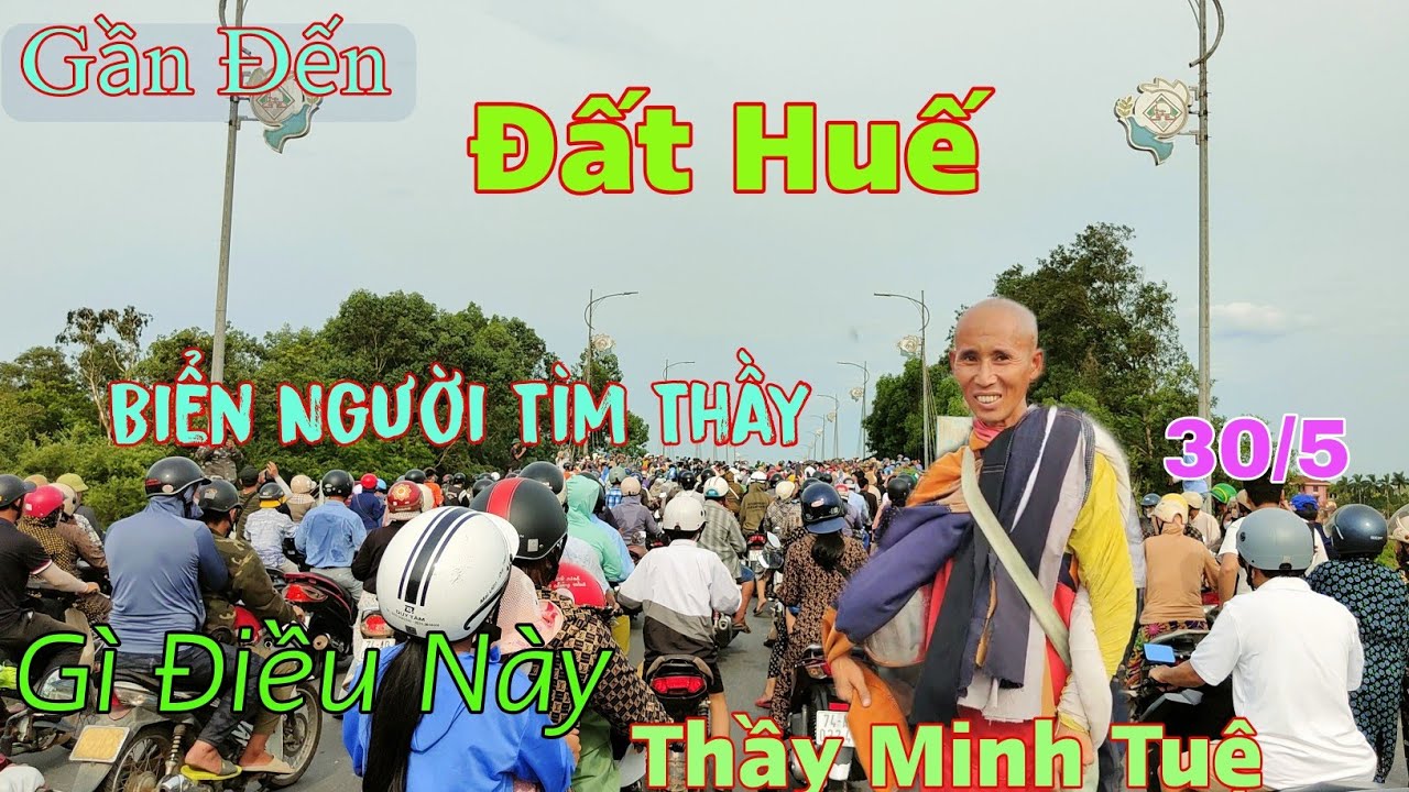 Thư Gửi Người Miền Xa, Thành Phố Buồn🛑 Nhạc Trữ Tình Hay Nhất 2023 - Lk Bolero Nhạc Vàng Xưa Bất Hủ