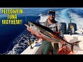 YELLOWFIN TUNA FISHING In Florida  Part #1 {Early Season Run Paid Off}