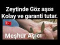 ZEYTİN AĞACINA AŞI NASIL YAPILIR ? Kelem ve göz aşısı Meşhur aşıcı Ali Kavuş 13 Haziran 2020 Kıbrıs