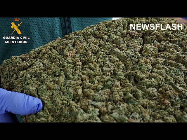 International Drug Trafficking Gang That Sent Cannabis To UK Using Vacuum-Sealed Packaging